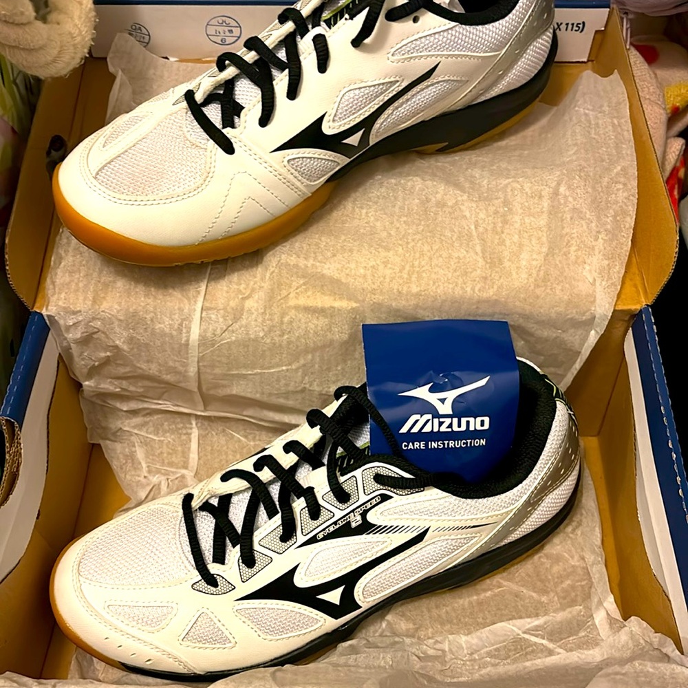 Cyclone Speed 2 volleyball shoes by Mizuno in a size 9.